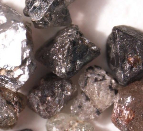 Kim cương hình thành từ xác sinh vật tiền sử - Jemmia.vn