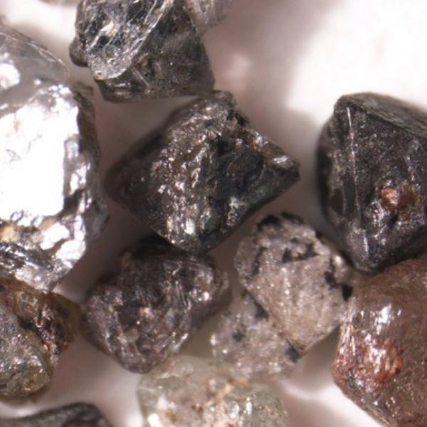 Kim cương hình thành từ xác sinh vật thời tiền sử