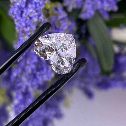 Hình 2: Kim cương 7 carat giá bao nhiêu phụ thuộc vào rất nhiều yếu tố